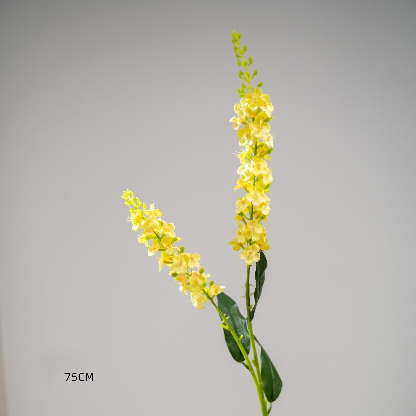 Fleur de perle jaune
