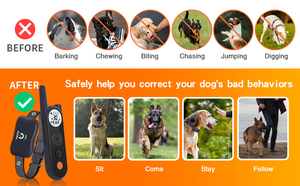 אין צורך לקבור כלב כלב נייד צווארון גדר מערכת מחמד גדר מערכת מחמד חשמלית אלחוטית מחמד - Product Image 5