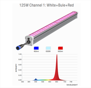 ไฟปลูกพืชแบบ LED สองช่องสัญญาณ 125W+25W สำหรับปลูกในร่ม/โรงเรือน เพิ่มสเปกตรัมสีแดง+UV+FR ช่วยเร่งการเจริญเติบโตของพืช - Product Image 3