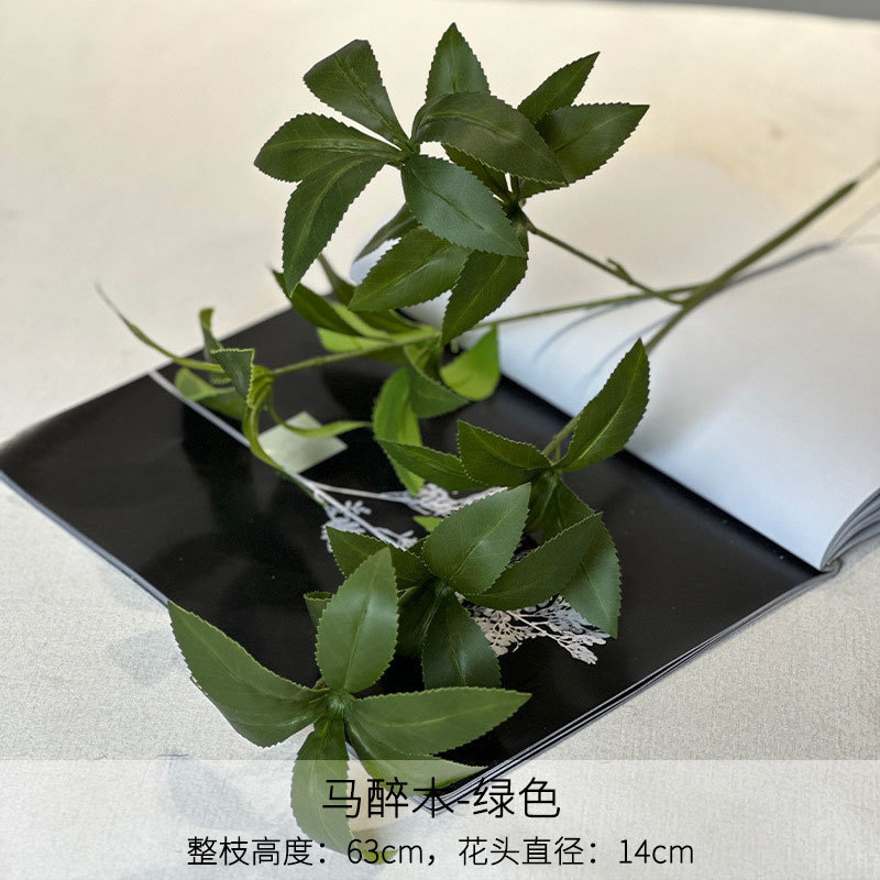 Mazui vert mu