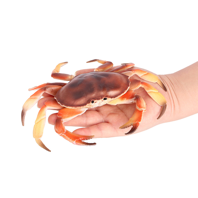 1849 Crab