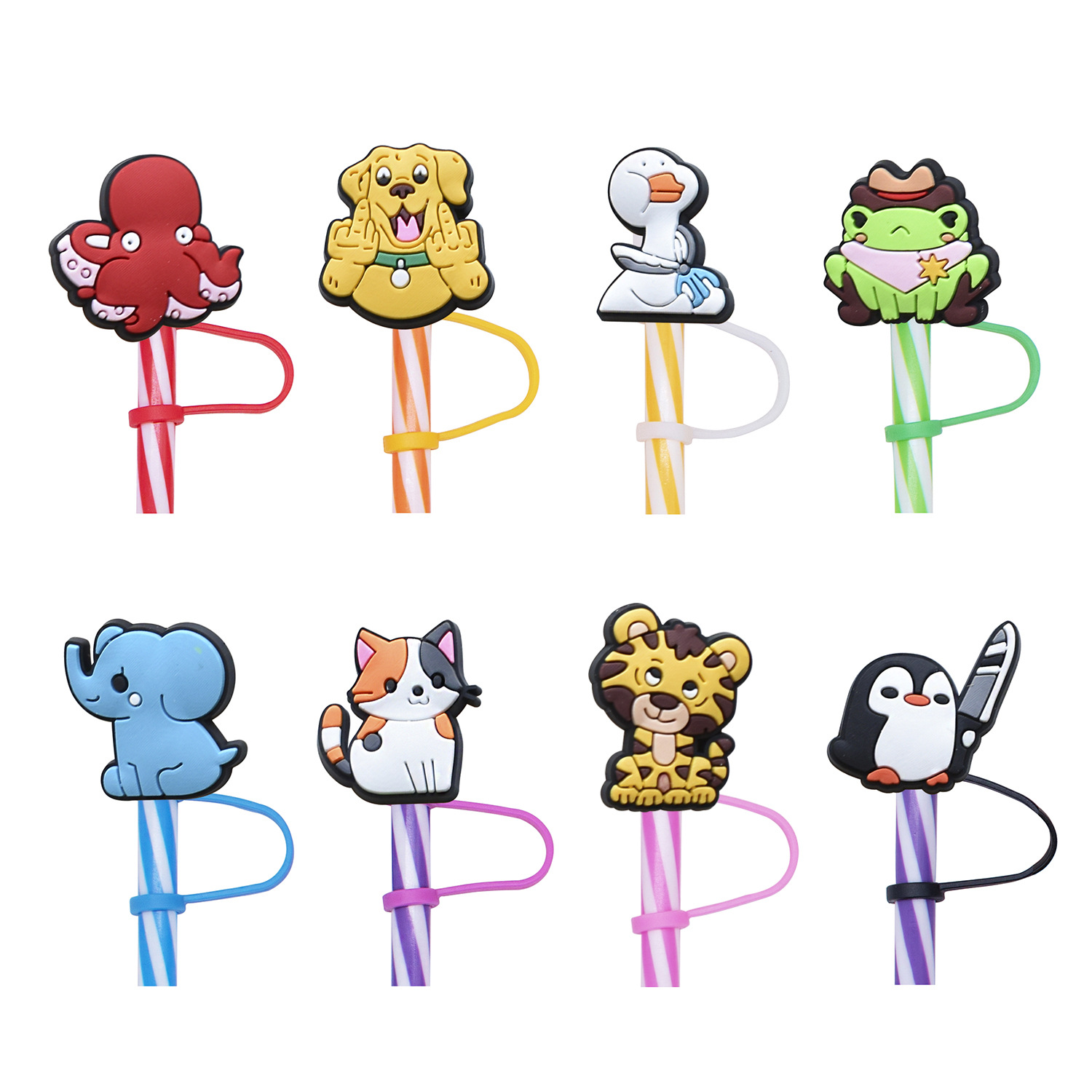 Animals