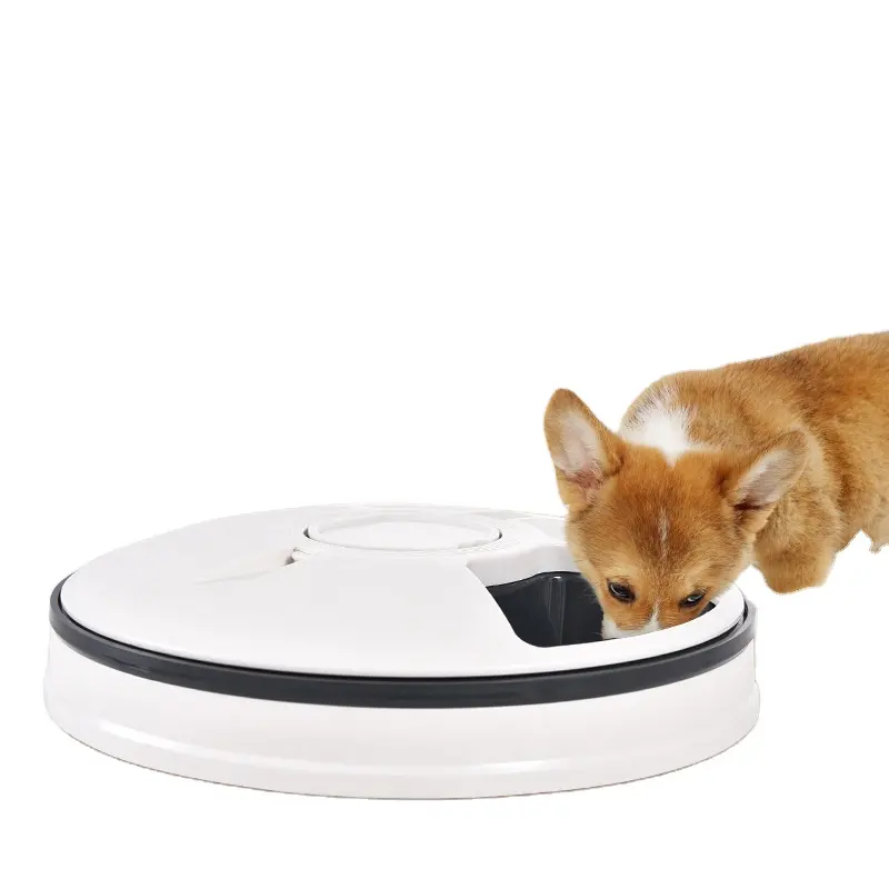 Nuevo alimentador para mascotas Set Time Smart Automatic Cat Dog Pet Feeder con botón Recordatorio de voz inteligente