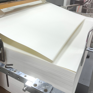 批发定制原材料防水纸卷纸张尺寸定制双PE涂布纸 - Product Image 2