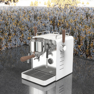 Macchina Espresso semi-automatica a doppia funzione EU spina riscaldamento caldaie per uso domestico e alberghiero sistema elettrico Brew - Product Image 3