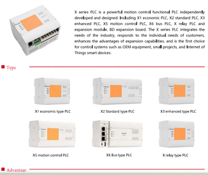 RAYNEN Marca Original de Fábrica Nueva Automatización Plc Control Lógico Programable Plc X Tipo de Relé PLC - Product Image 5