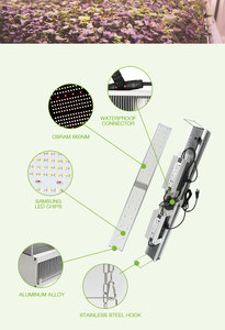 600W Im301B Meanwell เต็มสเปกตรัมนำพืชเติบโตแสงที่มีรูปแบบเชิงเส้น - Product Image 4