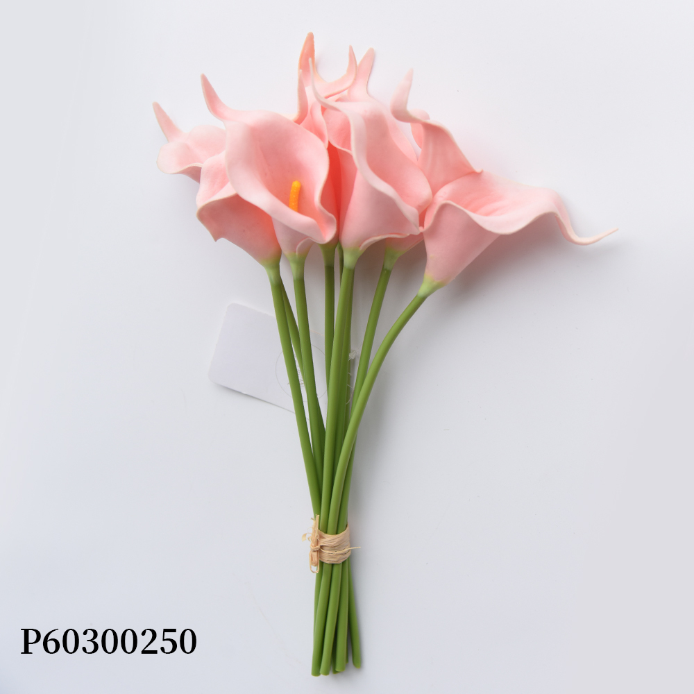 Rose52D