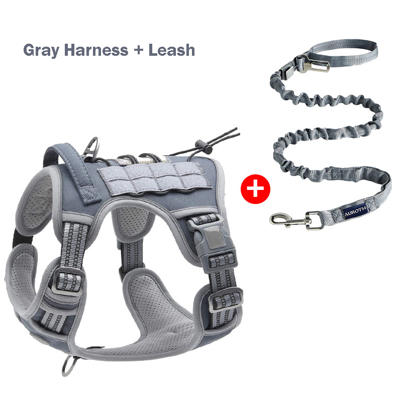 Gray Harness+Leash