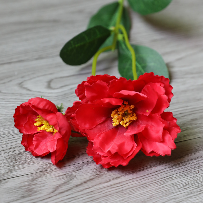 Rojo