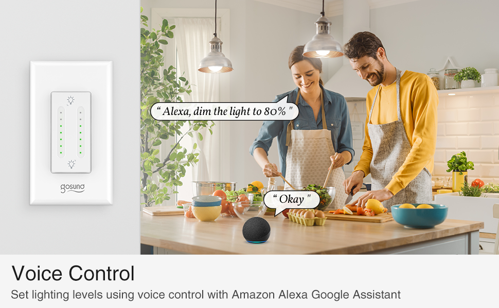 US Smart Wi-Fi Ceiling Fan and Light in-wall Dimmer Switch