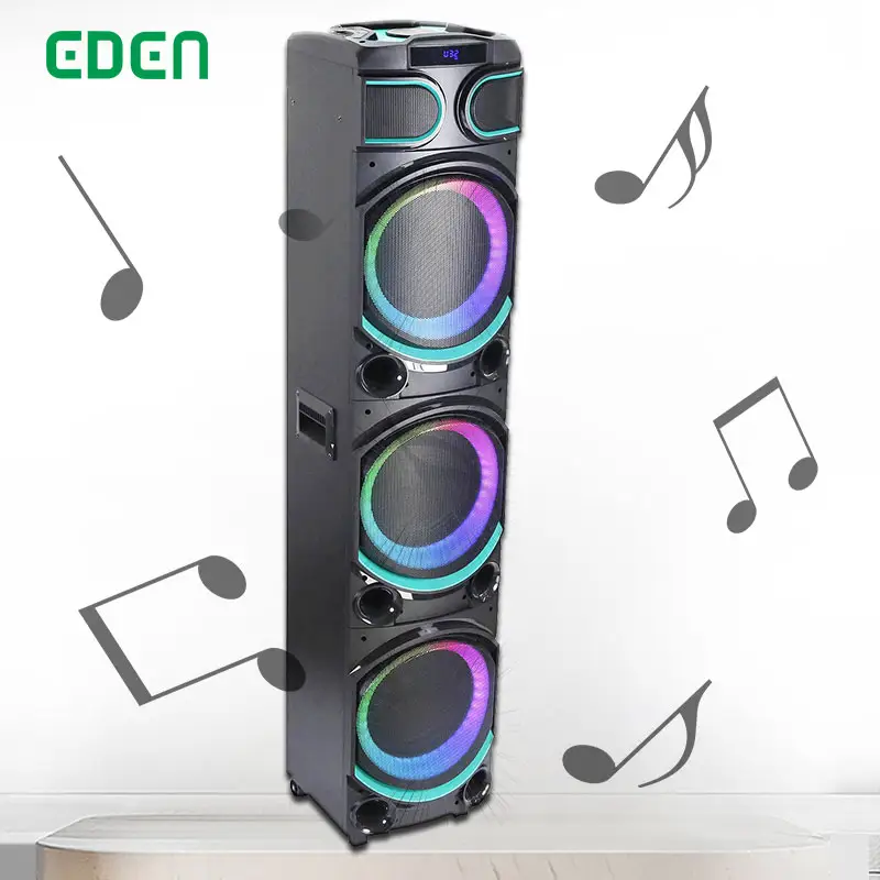 OEM/ODM Dual 10 Zoll Mittel töner Aktiv lautsprecher Holz Outdoor DJ Soundsystem Audio Lautsprecher Professional mit LED-Display