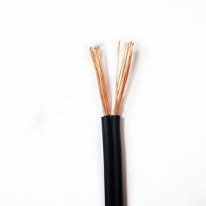 TIANJIE -SPT-1 SPT-2 SPT-3 14/16/<strong>18</strong> <strong>AWG</strong> 2C Flat Black SPT Cable for Lamp <strong>Cord</strong> - Product Image 2
