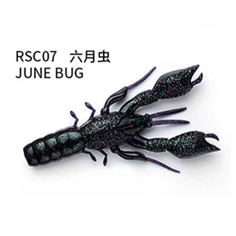 Insecte de juin