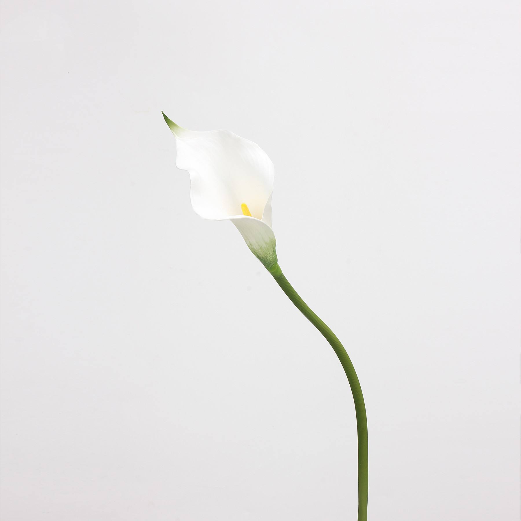 Blanc - 50CM