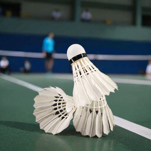 Natuurlijke veren sport <span class=keywords><strong>badminton</strong></span> shuttles - superlicht, duurzaam, training, hoge snelheid, stabiele vlucht, rechte veren 6 - Product Image 1