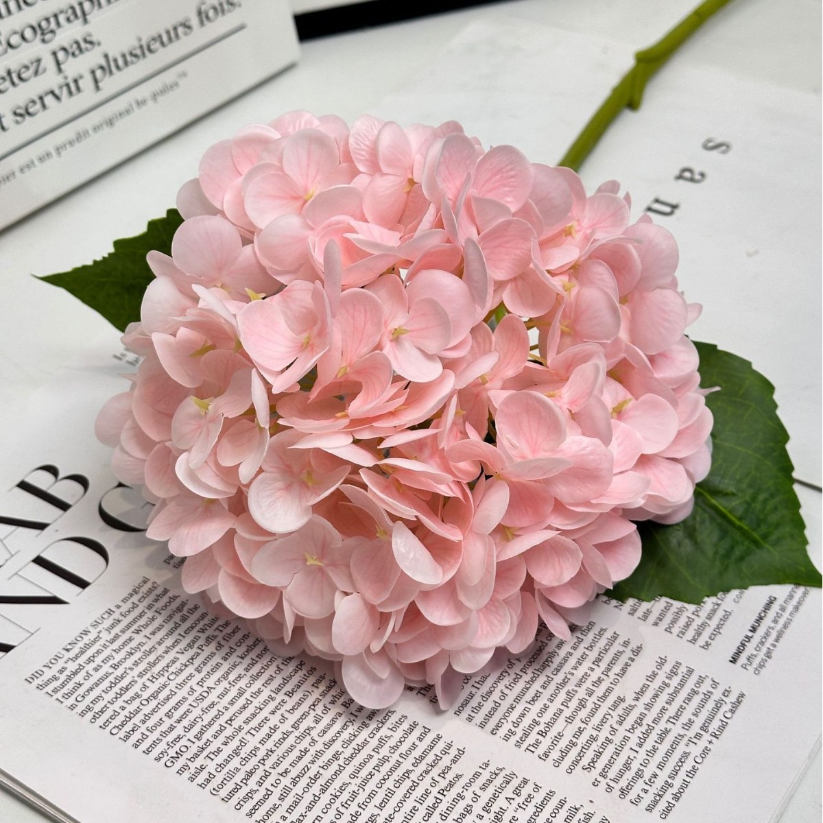 Rosa