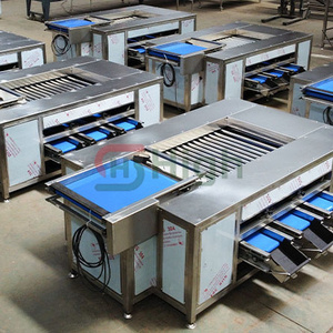 Clasificador de tipo rodillo completamente automático, máquina clasificadora de diámetro multinivel, clasificación de peso, patata, zanahoria, cebolla, manzana, verdura - Product Image 2