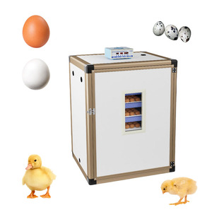 <strong>2025</strong> New High Hatching Rate Automatic Commercial Egg Incubators of Various Types