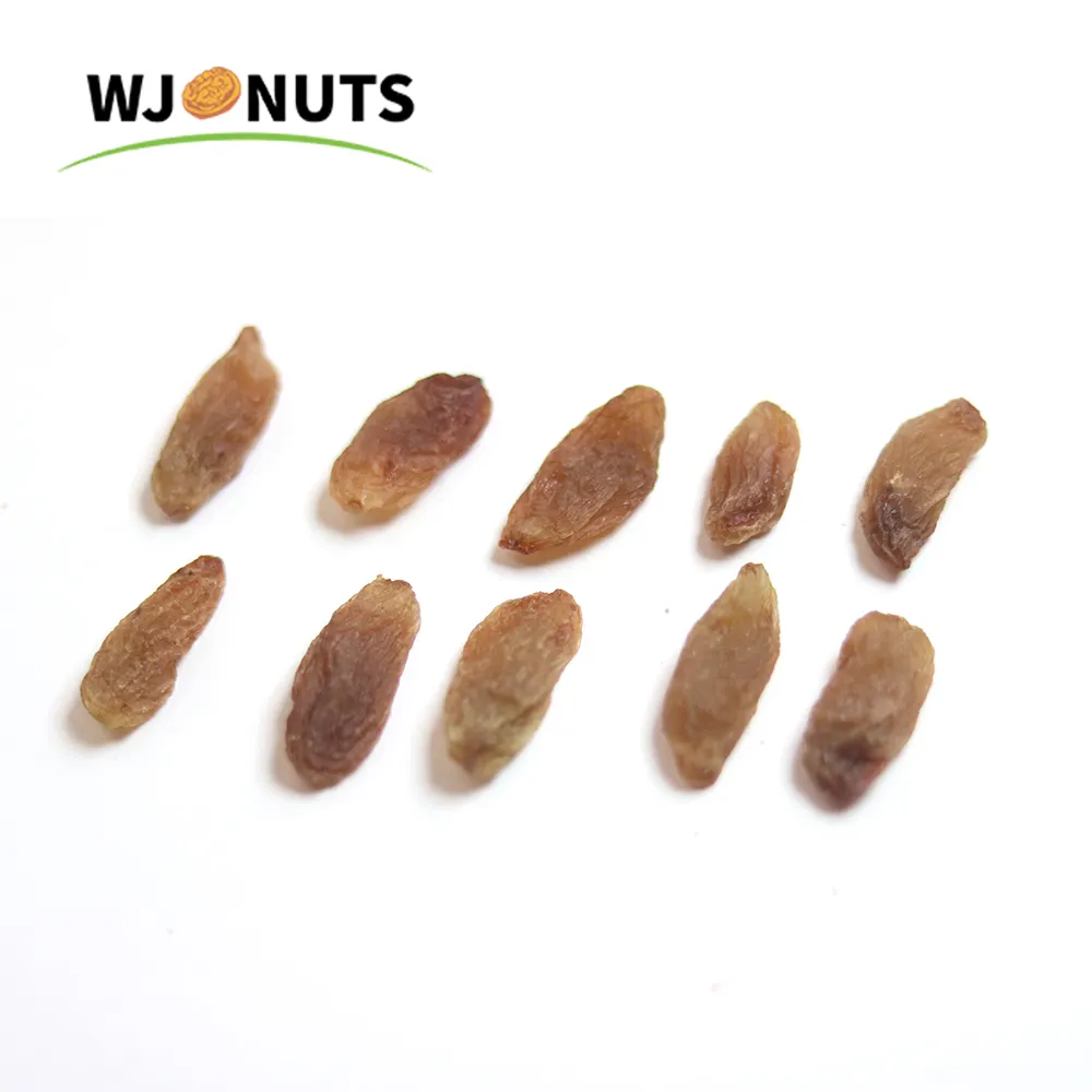 Chinese wangjiang factory price raisin sec dry golden raisins