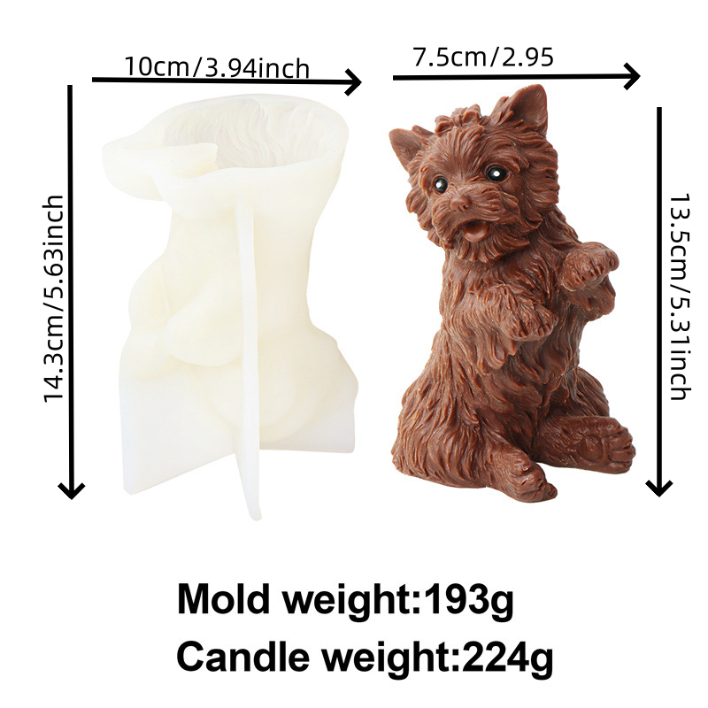 moule pour chien 5