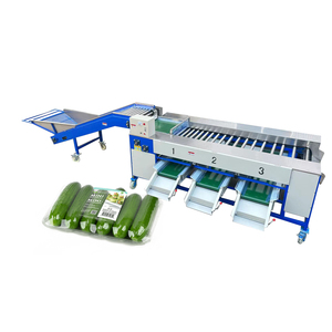 Minimáquina de clasificación de pepino, máquina de clasificación de tamaño de fruta y pepino - Product Image 6