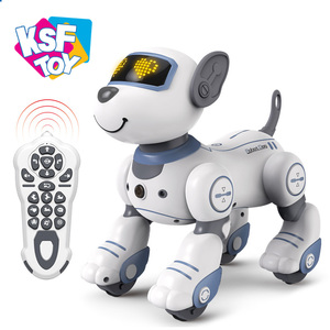 Robot inteligente de Control remoto con Control remoto para perros, Robot de Control remoto con Control remoto, 2022