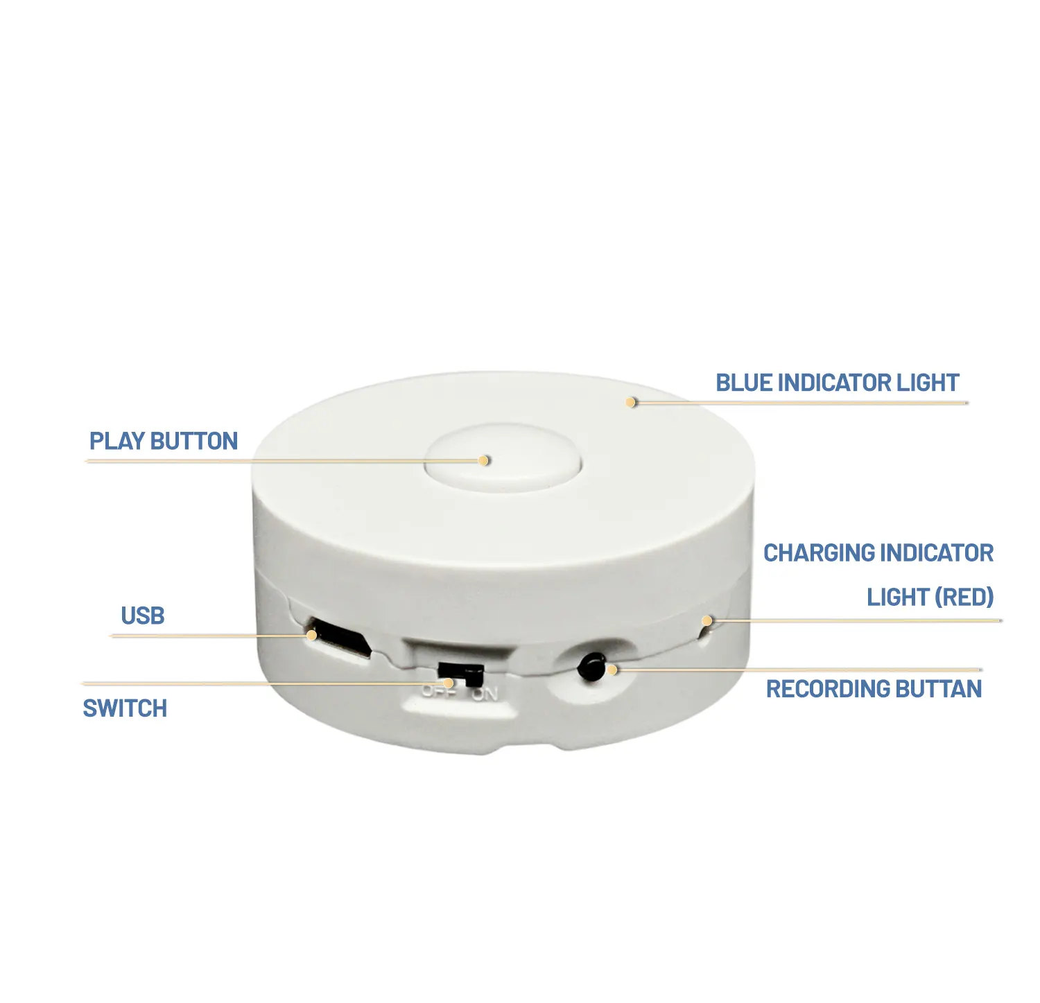 Boîte vocale d'enregistrement personnalisée module de son programmable USB rechargeable mini enregistreur boîte de module de son pour jouets en peluche