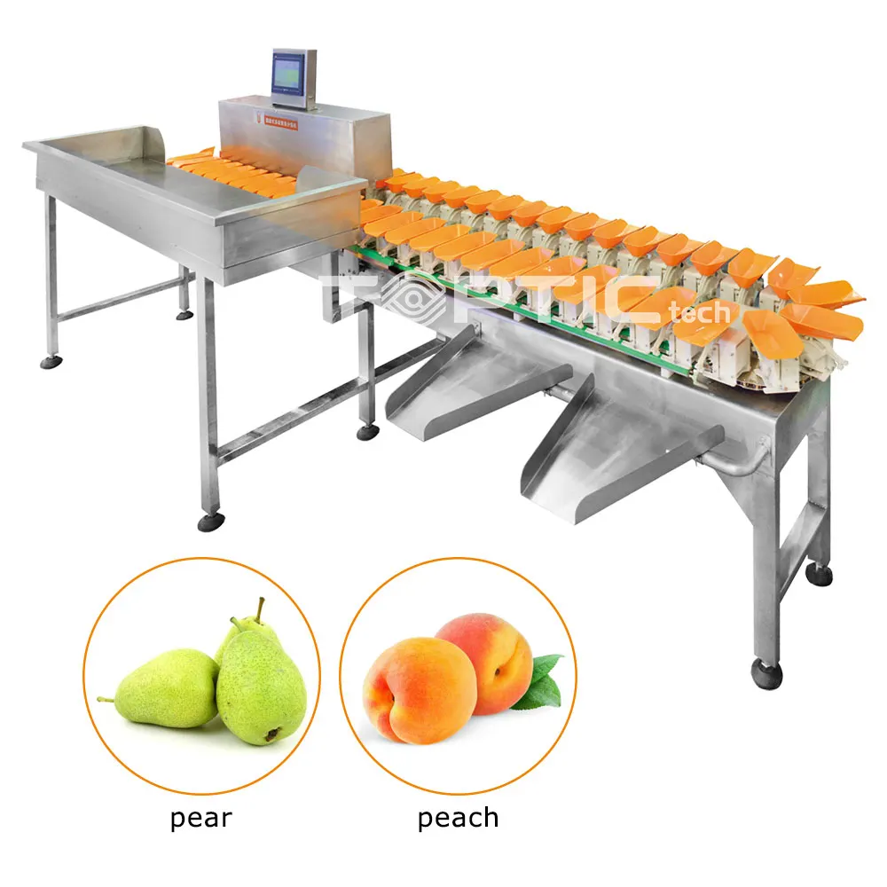 Hete Verkopende Automatische Kokosnoot Passievrucht Mango Draak Fruit Meloen Fruit Gewicht Sorteermachine Te Koop