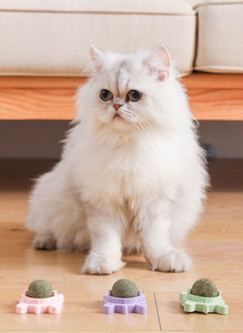 Juguete de hierba gatera para mascotas más vendido, forma de aguacate, hierba gatera desmontable giratoria, juguete interactivo para masticar y limpiar dientes para gatos - Product Image 4