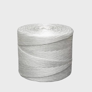 Hilo de jardinería para plantas trepadoras Material Pe y cuerda versátil para actividades para redes de pesca y soporte de jardín - Product Image 3