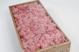 ขายส่งเฟิร์นที่มีความเสถียรธรรมชาติกวางเรนเดียร์ที่เก็บรักษาไว้แผ่นมอส - Product Image 5