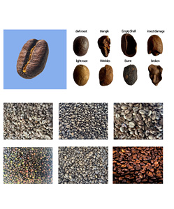 Clasificador de color de café Equipo de procesamiento personalizado Máquina clasificadora de granos de café grande y rápida - Product Image 3