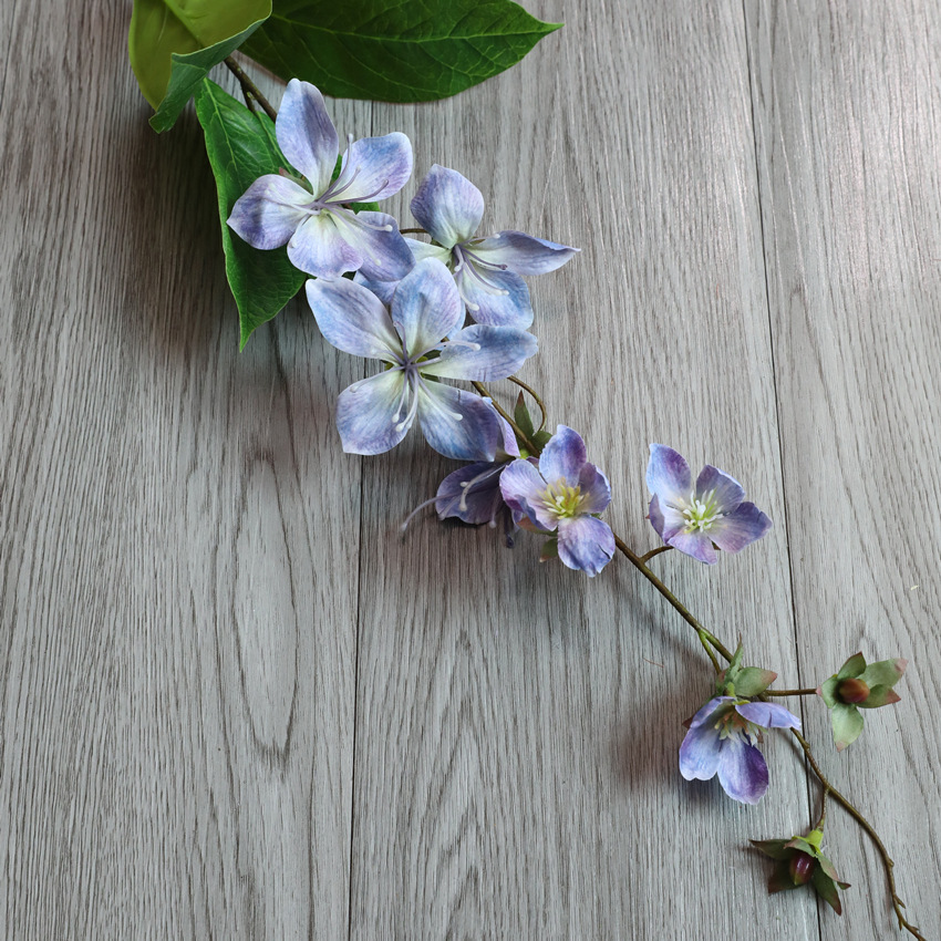 Violeta