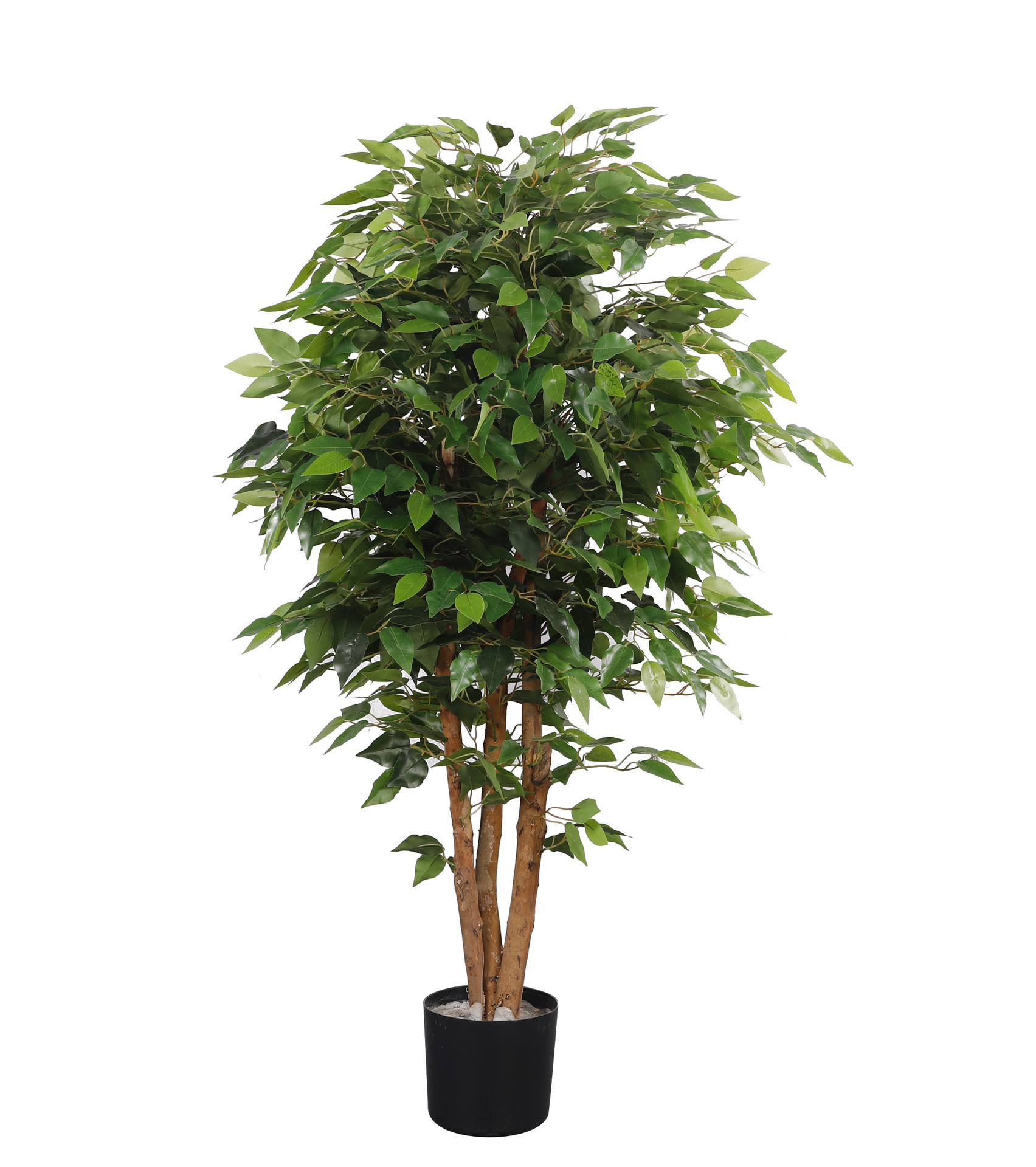 1,6 m verde banyan