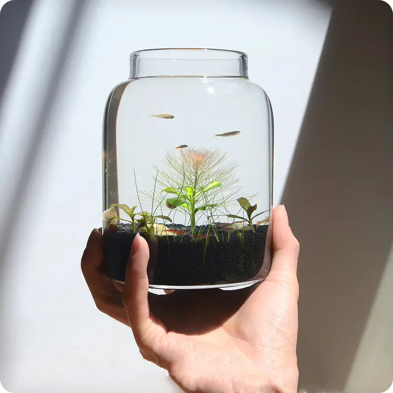 Cam bitkiler teraryum şişe topraksız bitki vazo balık tankı ev dekorasyon
