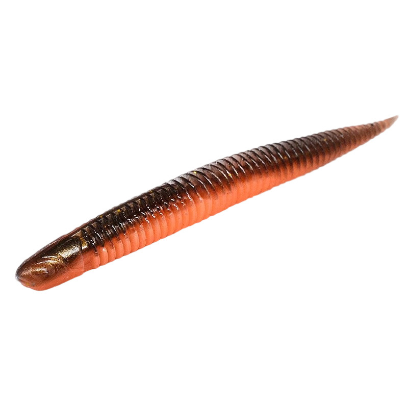 1 Misgurnus anguillicaudatus