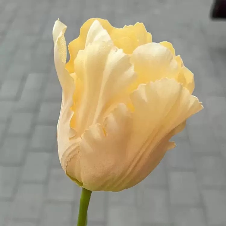 Jaune clair