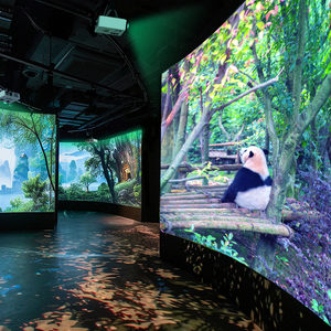 Proyección de sala inmersiva La Proyección de 360 grados se puede personalizar Galería.
