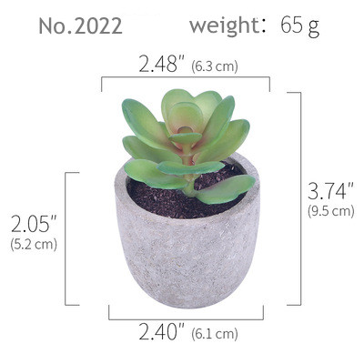 RTS2022(65g)