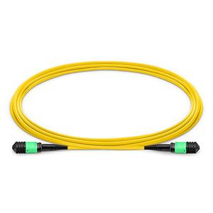 สายแพทช์ใยแก้วนำแสง Mpo (F) ถึง MPO (F) 12F LSZH 3.0เมตรสูญเสียน้ำหนักต่ำ - Product Image 2