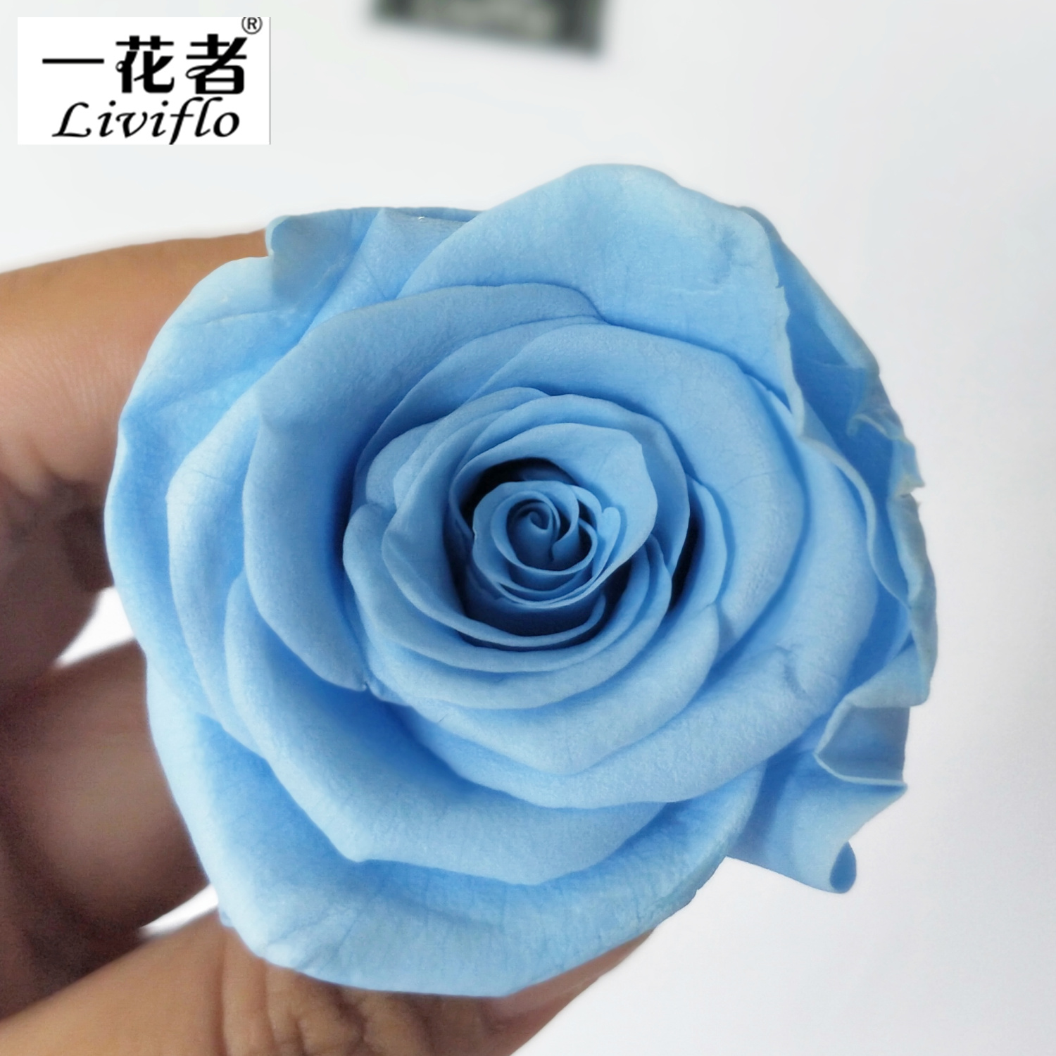 Azzurro di cielo