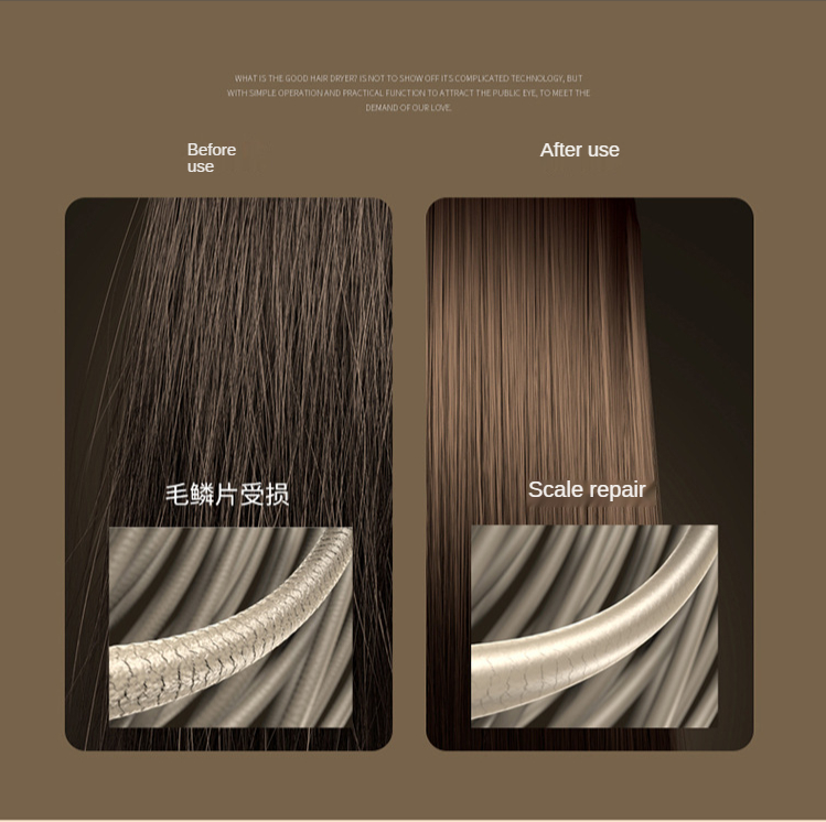 Best Price Superior Quality Popular Product Negative Ion Hair Dryer Professional Salon