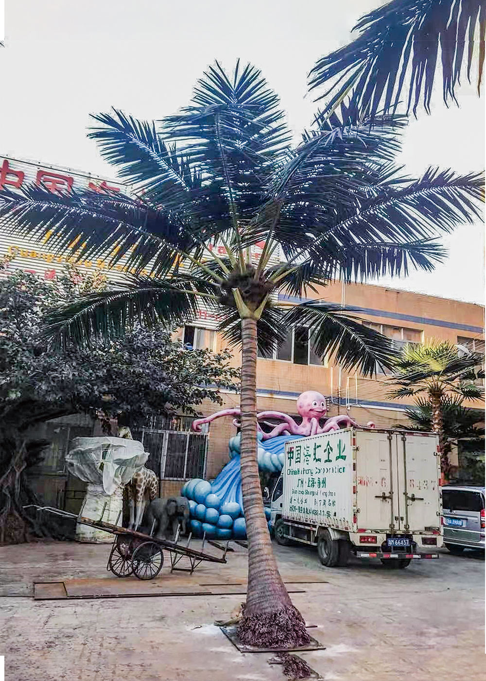 Hawaiian Coconut Tree - L shape ( 3-12 meters height)