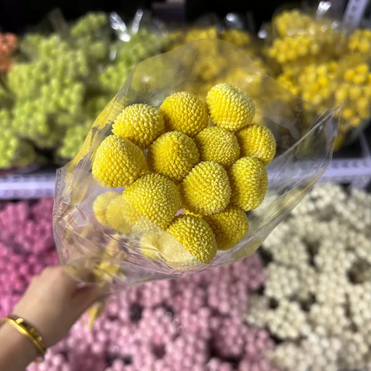 Jaune