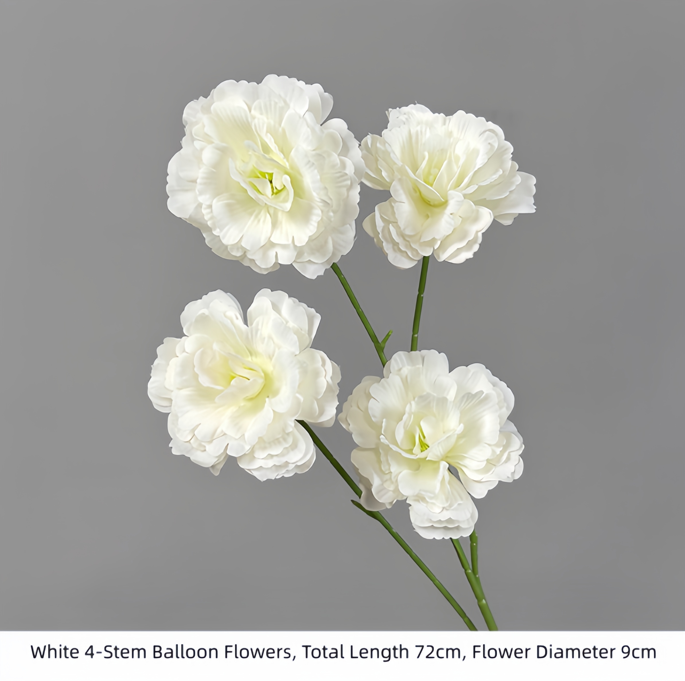White 4-Stem Balloon Flowers