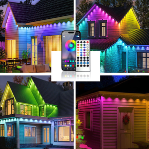 FEICAN Led Point Pixel <strong>Light</strong> Smart APP Control Point <strong>Light</strong> RGB Under Permanent Led Eave <strong>Light</strong> - Product Image 2