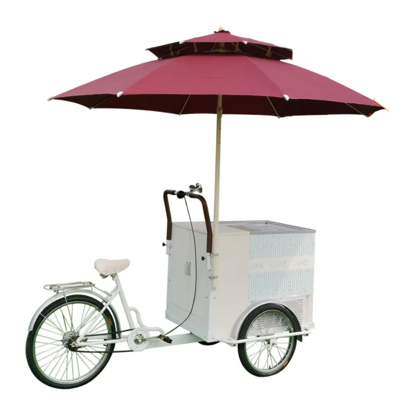 Bicicleta refrigerada con congelador de 220v CA, motor eléctrico de helado, triciclo de tres ruedas, carrito de comida comercial, gran oferta