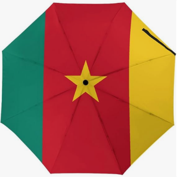 04 Cameroun
