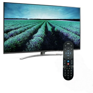 Hostrong Factory OEM ODM Sk y Q Voice <strong>Remote</strong> Control With Voice Search Function With OEM Service - Product Image 6